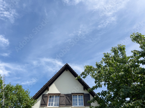 A beautiful house in a magical village, with its rooftop and cherry tree visible from the low angle view. Clouds stretch across the sky above this built structure situated within a residential