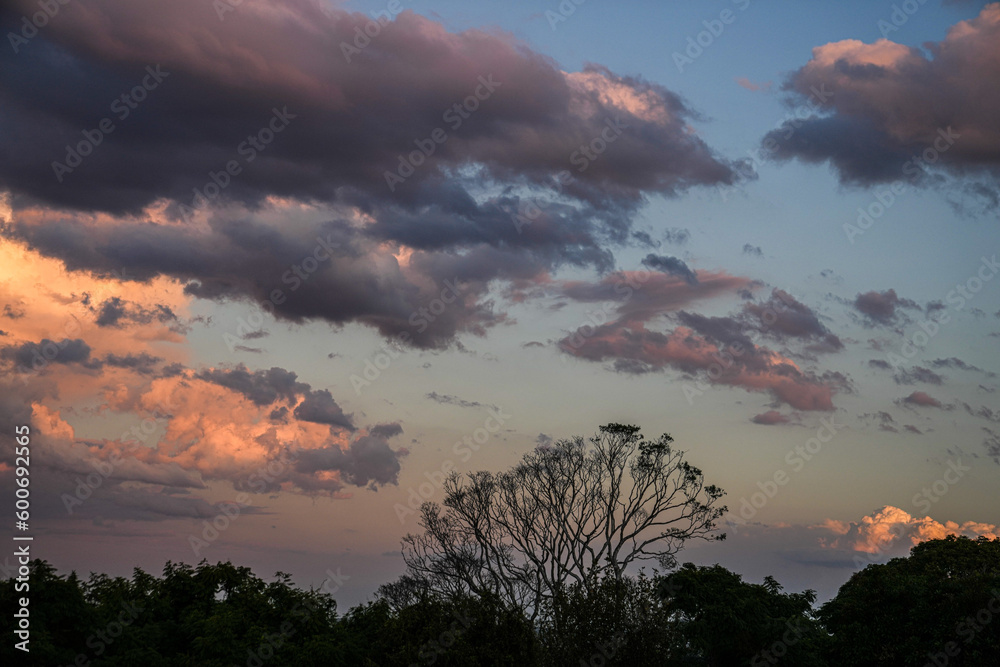 Fototapeta premium sky at sunset