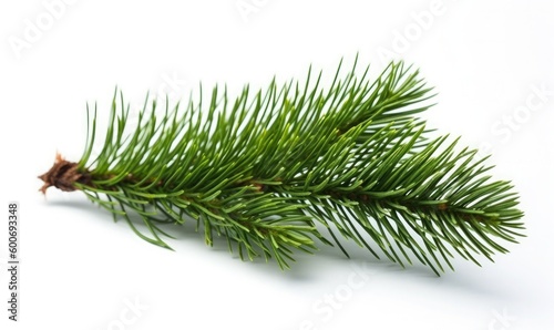 Photo a branch of a fir tree is on a white background  generative AI