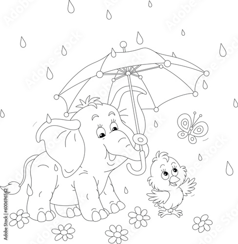 Little baby elephant and merry chick with a small butterfly hiding under a toy umbrella in a summer rain among flowers, black and white outline vector cartoon illustration for a coloring book