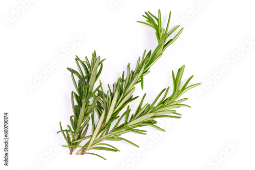 Fresh rosemary twigs on a white background