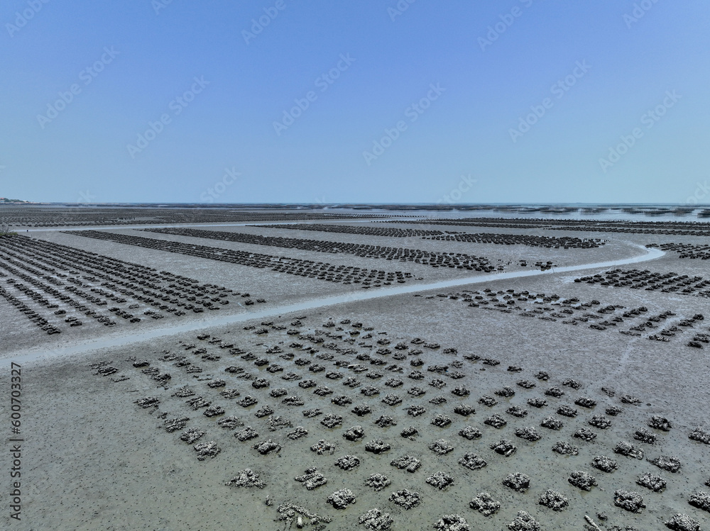 Aerial view of Oyster farm. Sustainable farming. Oyster farming is an