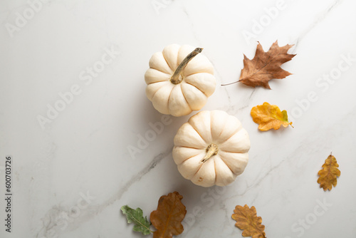 Top view of two white pumpkin food background autumn