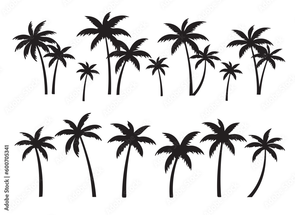 Black palm tree set vector illustration on white background silhouette art black white	
