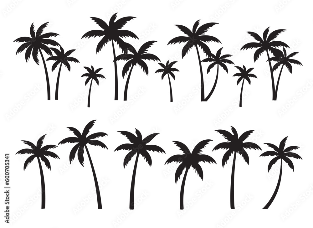 Black palm tree set vector illustration on white background silhouette art black white
Black palm tree set vector illustration on white background silhouette art black white