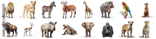 Set of African Animals painted on a white background in a realistic render. Ideal for teaching materials, books and nature-themed designs poster banner.Generative AI