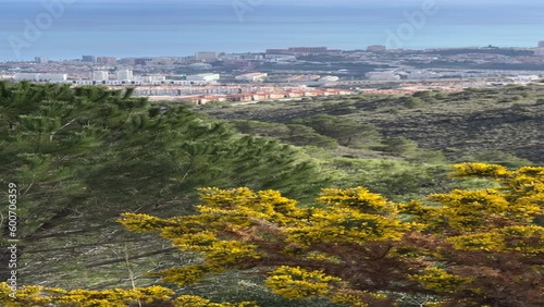 View of Benalmadena from Monte Calamorro with yellow tree in front photo