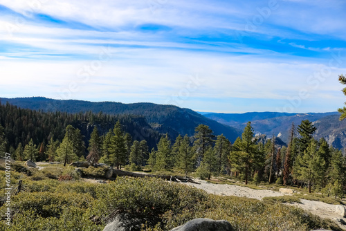 Yosemite National Park Landscape Mountains and Trees