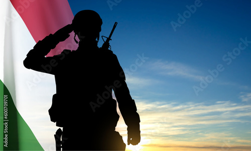 Silhouette of a saluting soldier on background of sky with Hungary flag. EPS10 vector