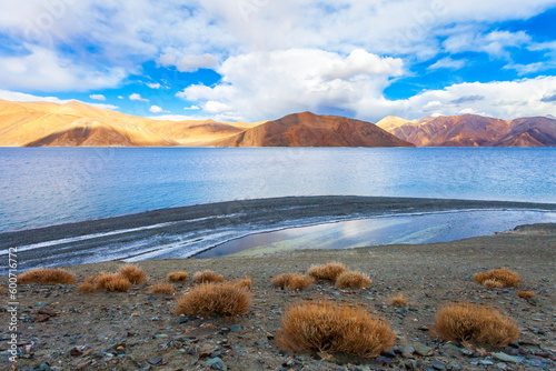 Fototapeta Naklejka Na Ścianę i Meble -  Panorama landscape of Pangong lake with mountain background under winter blue sky.Pangong tso with cloudy sky.Natural beauty of Ladakh,India. Famous tourist place in the world.China and India border.