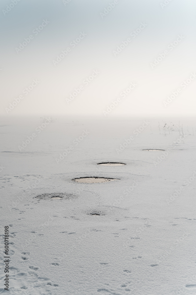 details of the winter landscape