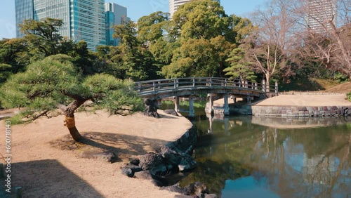 Hamarikyu Gardens is a natural park area in Shiodome District in Tokyo, Japan photo