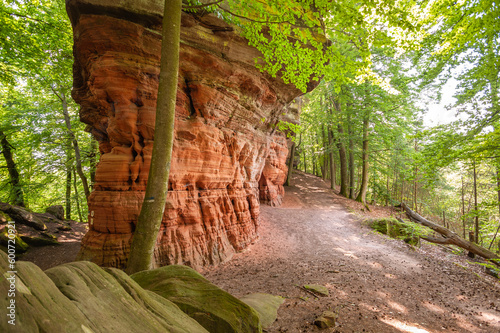Naturdenkmal Altschlossfelsen bei Eppenbrunn. Region Pfalz im Bundesland Rheinland-Pfalz in Deutschland