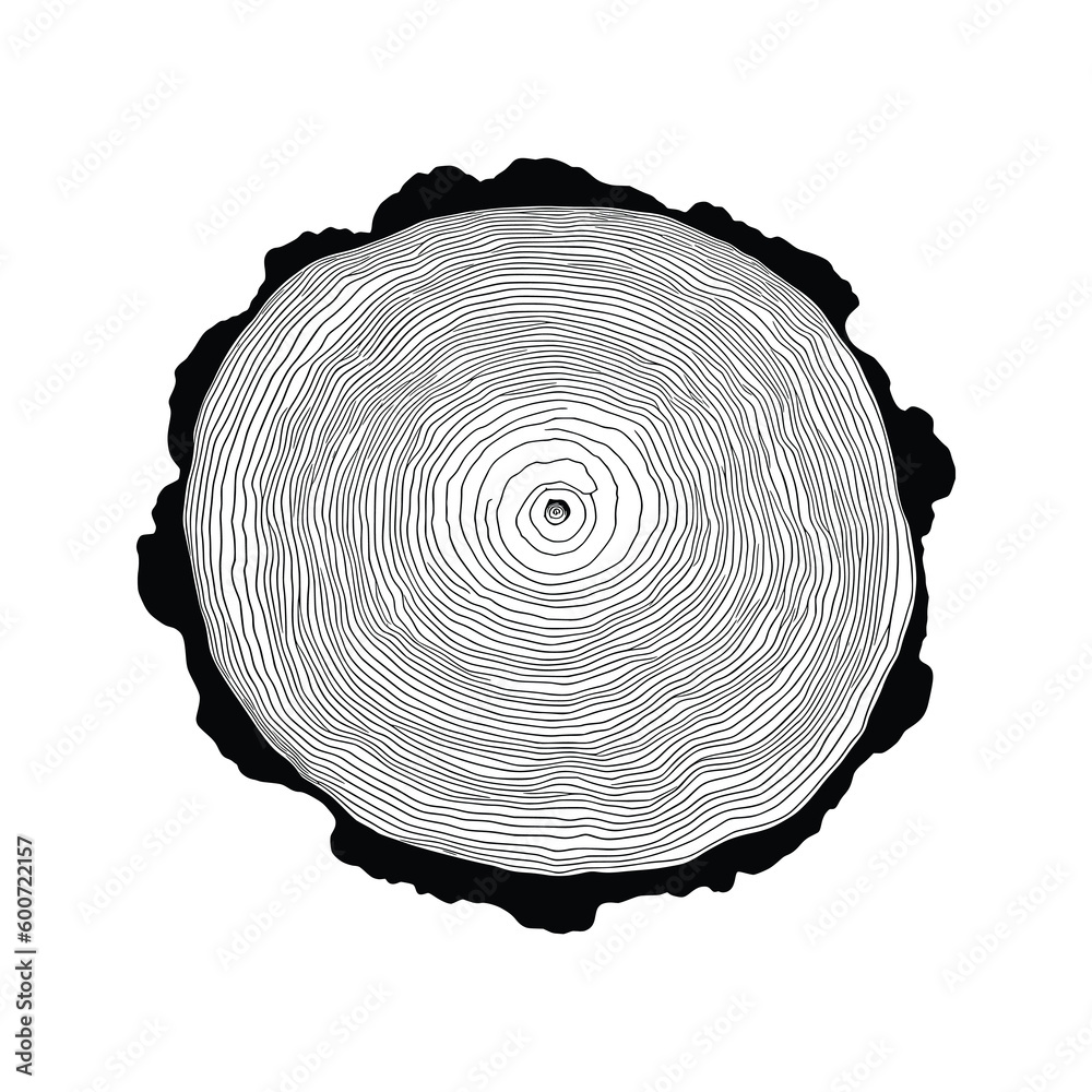 Log cut, vector illustration. Tree rings pattern, shades of gray. Log cut, vector illustration. Tree rings pattern, shades of gray.