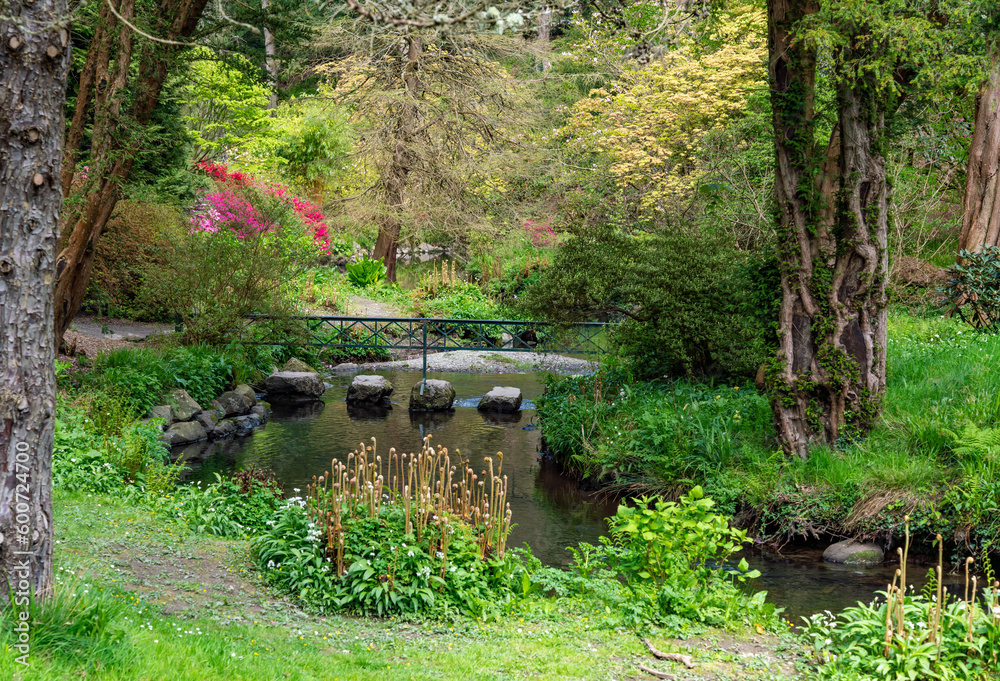 views around a gorgeous UK garden in spirng time views around a gorgeous UK garden in spirng time