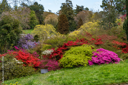 views around a gorgeous UK garden in spirng time photo