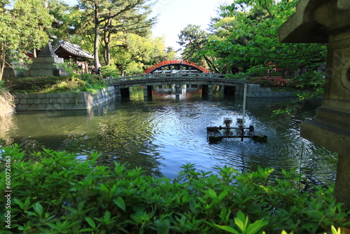 A distant view of Sori-hashi Bridge in the precincts of Sumiyoshi-taisha Shrine in Osaka City in Japan ：日本の大阪市にある住吉大社の境内の反橋の遠景