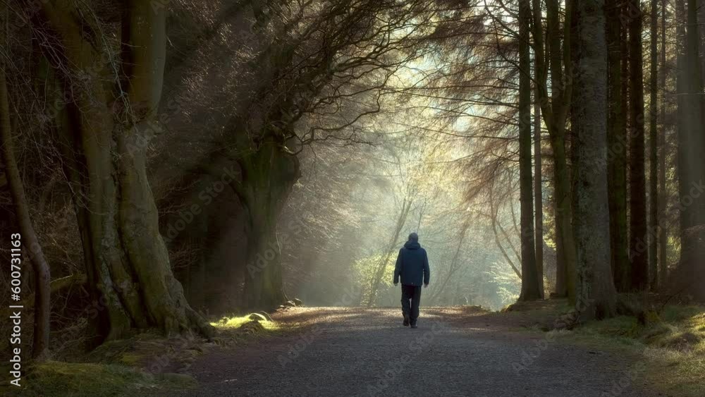 Man walking in a lane in the forest with the sunlight breaking through the trees. 4k video. Beecraigs Country Park, West Lothian, Scotland Man walking in a lane in the forest with the sunlight breaking through the trees. 4k video. Beecraigs Country Park, West Lothian, Scotland