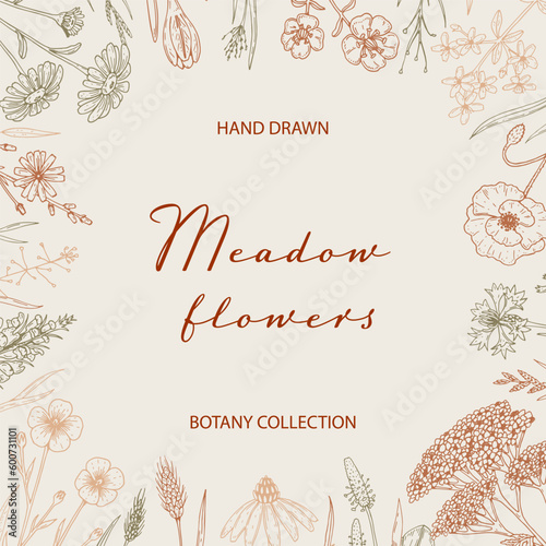 Hand drawn summer wildflowers frame. Vector illustration in sketch style. Meadow flowers aesthetic background. Summer design
