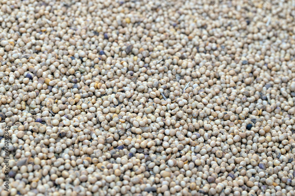 Soja beans. Unloading a ship of soja beans by crane. Barge. Inland vessel. River. Transport by ship. Cattle feed. Soja beans. Unloading a ship of soja beans by crane. Barge. Inland vessel. River. Transport by ship. Cattle feed.