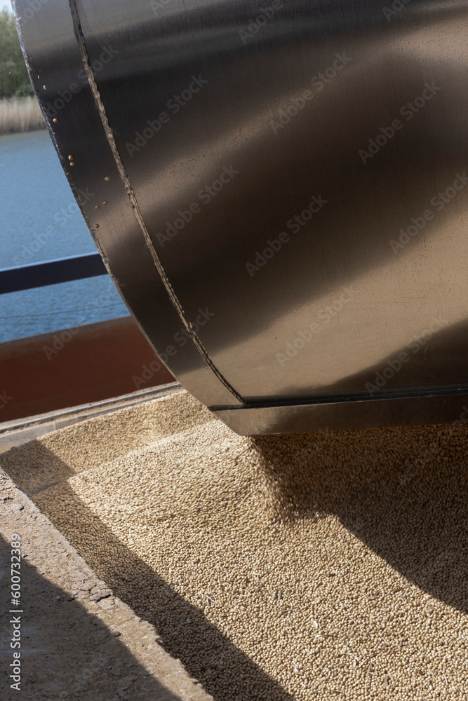 Unloading a ship of soja beans by crane. Barge. Inland vessel. River ...