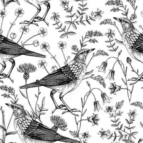 Summer background. Floral seamless pattern. Wildflowers and birds vector illustration in sketch style. Perfect for textile, wrapping paper, packaging, fabrics.