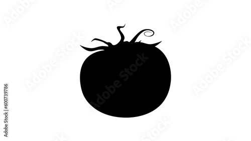 Fotografie Tomato silhouette