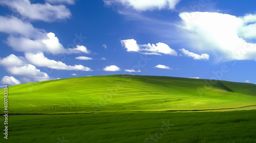 A green field with a blue sky and clouds in the background. Al generated art.