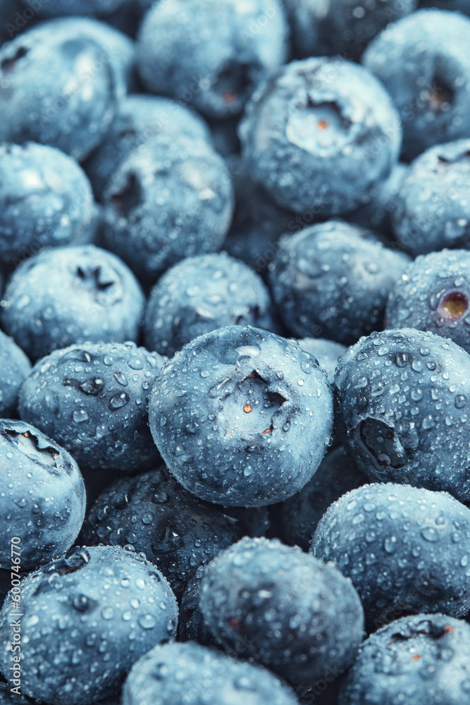 Selected blueberries with water drops close-up. Blue background. Selected blueberries with water drops close-up. Blue background.