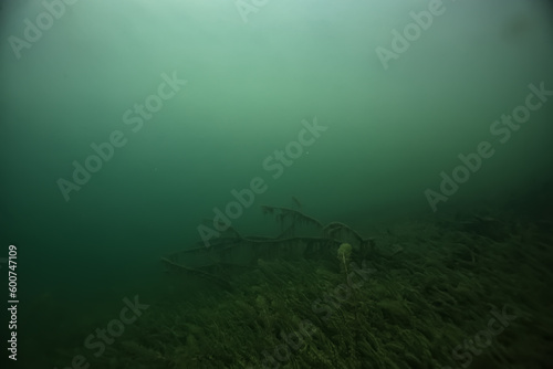 underwater landscape green algae background abstract water © kichigin19