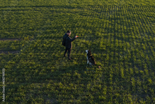 A man walks with a husky dog ​​in a green field. © Dmitri