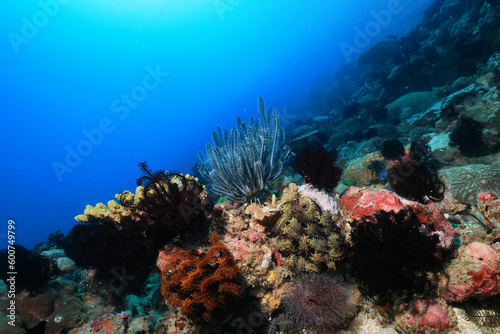 Fototapeta Naklejka Na Ścianę i Meble -  texture ocean floor background underwater surface