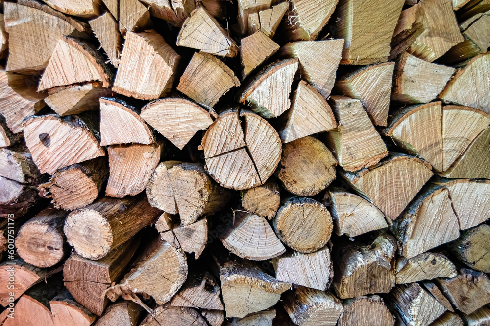 Photography on theme big wall of stacked oak tree logs in cracks Photography on theme big wall of stacked oak tree logs in cracks