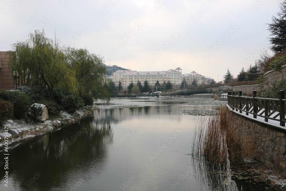 Winter day in the park, snow