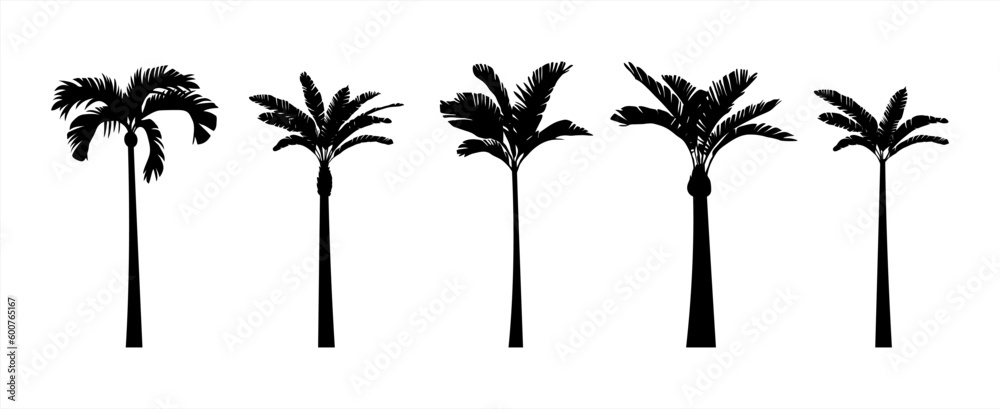 Obraz Black palm trees set isolated on white background. Palm silhouettes. Design of palm trees for posters, banners and promotional items. Vector illustration 10 eps. fototapeta, plakat
