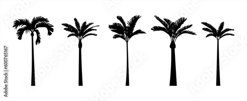 Leinwand Poster Black palm trees set isolated on white background