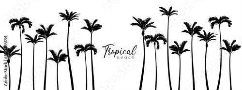Set of black silhouettes of palm trees. Vector illustration 10 eps.