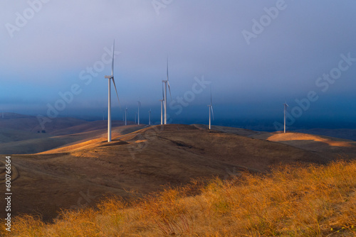 Altamont Wind Farm photo
