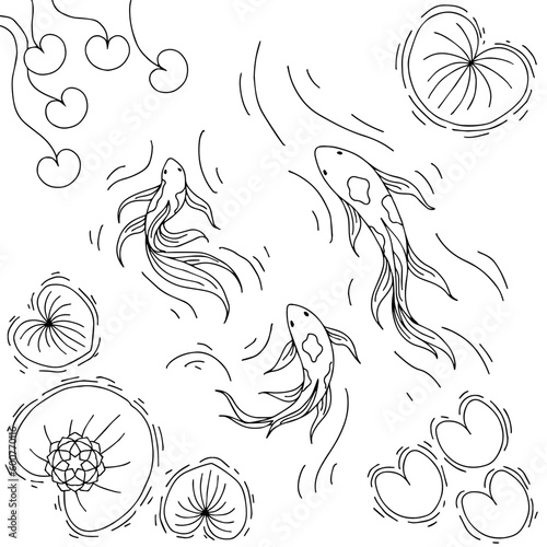 Design illustration koi fish pond outline