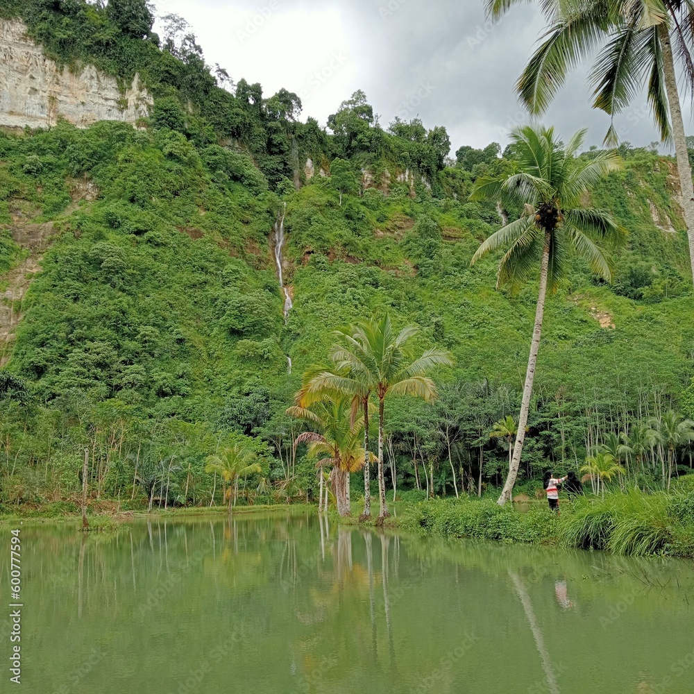 Fototapeta premium beautiful scenery on the slopes of Mount Cianjur, West Java 