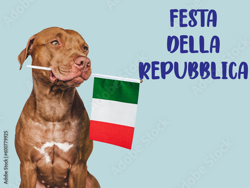 Happy Republic Day. Cute puppy and Italian Flag. Closeup, indoors. Studio photo. Congratulations for family, loved ones, friends and colleagues. Pet care concept