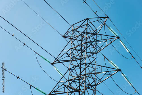 HIgh voltage transmission network lines in Australia . Double Circuit Steel pole transmission tower. Electricity Pylon