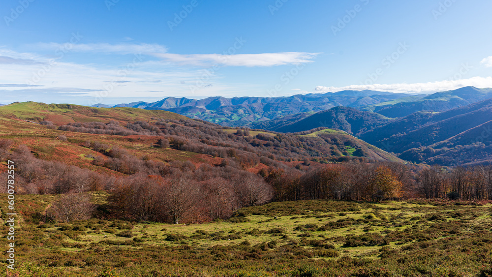 Fototapeta premium Camins del GR11