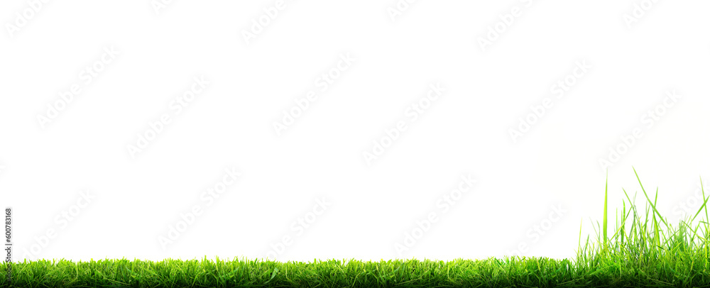 A freshly cut, mowed lawn with longer grass at the edge of the lawn that is yet to be cut isolated against a transparent background. - obrazy, fototapety, plakaty 
