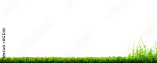 Obraz na płótnie A freshly cut, mowed lawn with longer grass at the edge of the lawn that is yet to be cut isolated against a transparent background. w salonie