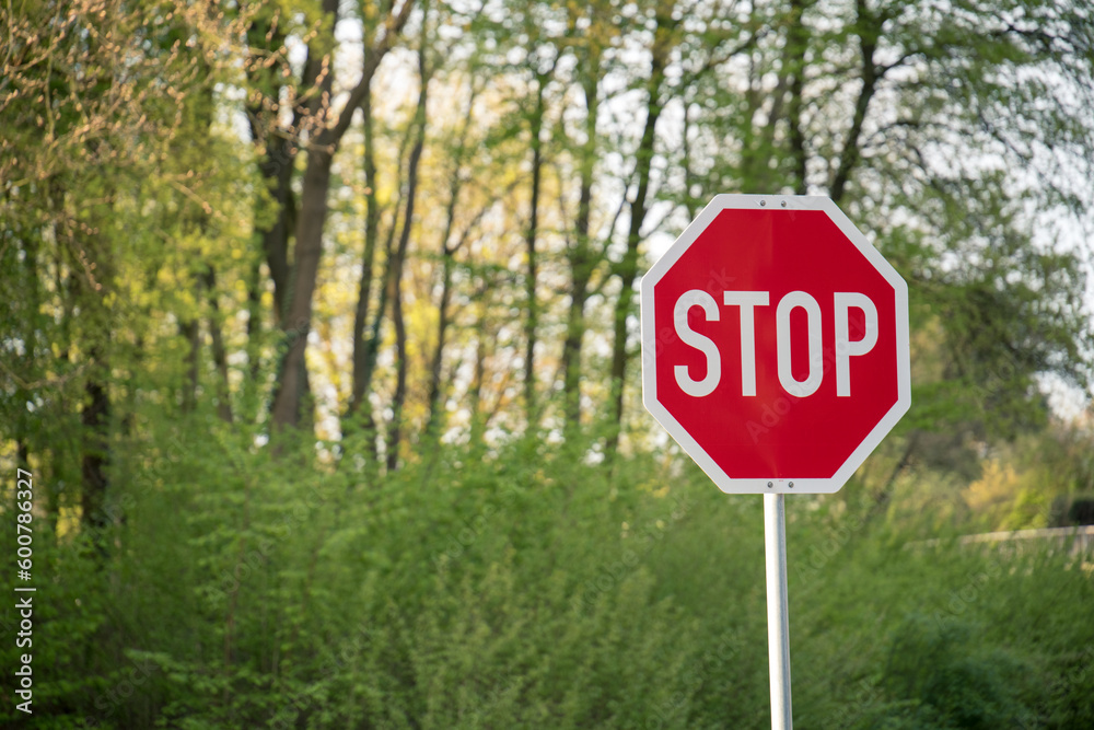 Ein rotes Stop-Schild vor einem kleinen Waldstück