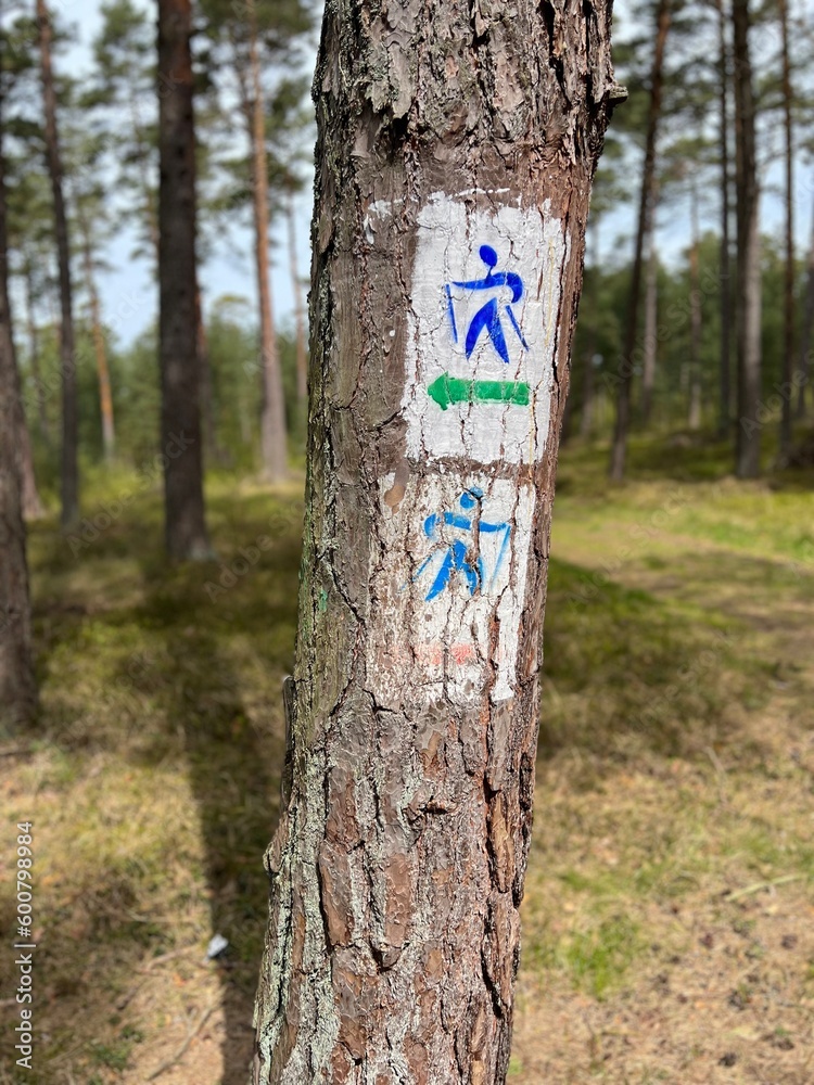 Fototapeta premium Pologne