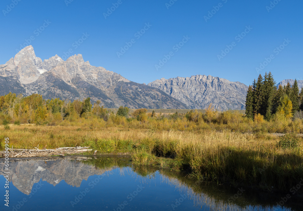Scenic Landscape Reflection in the Tetons in Autumn