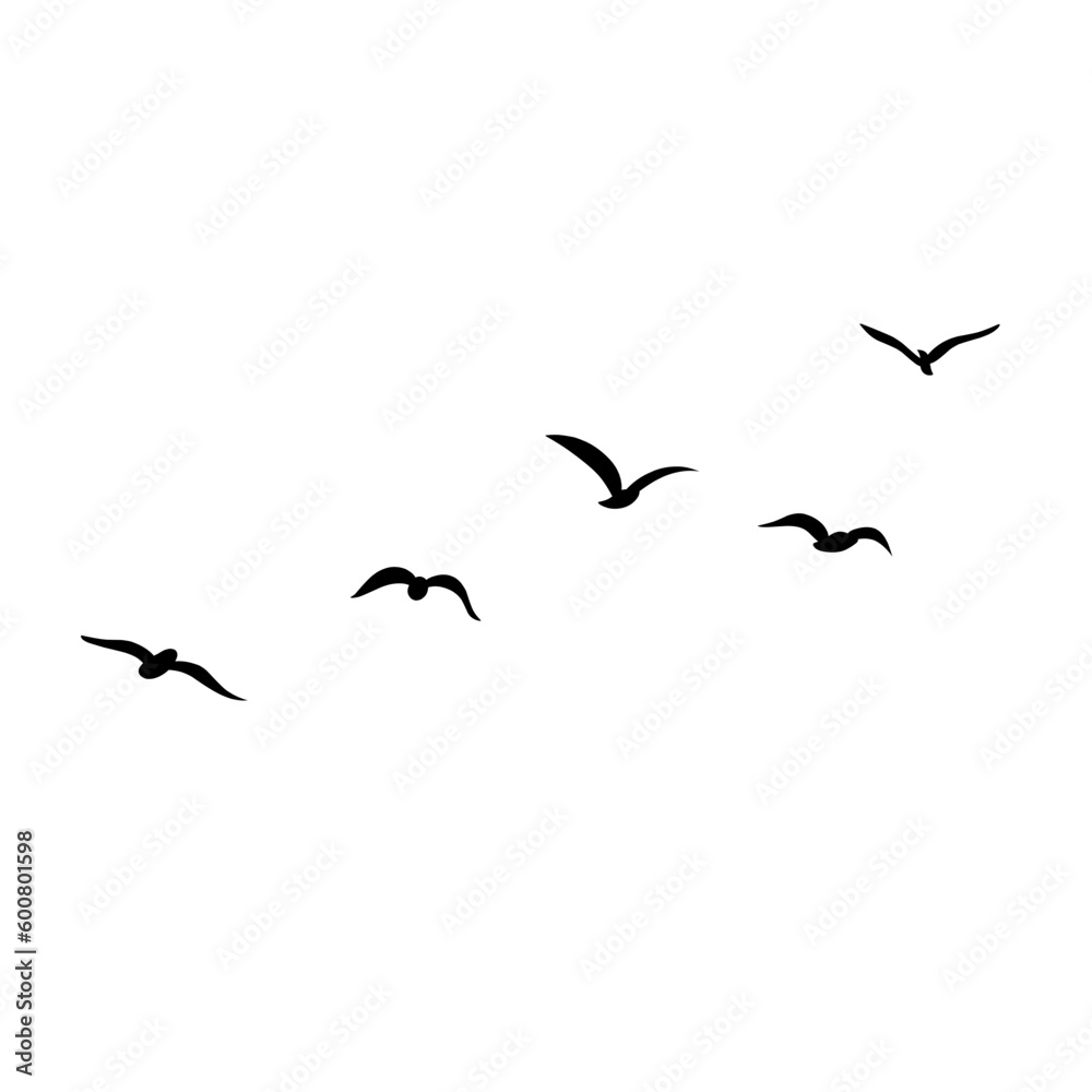 vector silhouette of flying birds