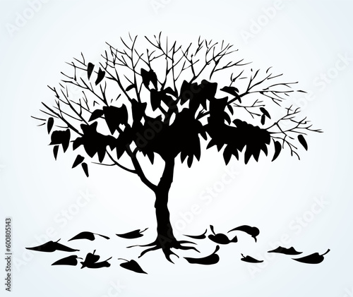 Vector drawing. Withered tree with fallen leaves